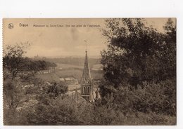 DISON - Panorama Du Sacré-Coeur - Dison