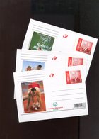 Belgie 2006 BK Special Olympics Athletics Hockey Rings - Cartes Postales Illustrées (1971-2014) [BK]