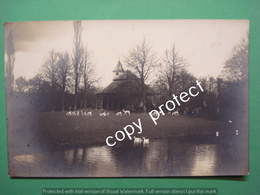 BE1899 Bellem Aalter Park Dierentuin Zoo Original Picture Foto Card - Aalter