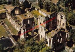 Ruines De L'ancienne église - Abbaye - Orval - Florenville