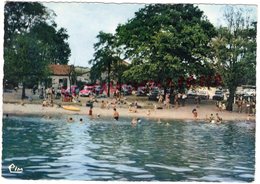 71- ESSERTENNE- ETANG DE MONTAUBRY - LA PLAGE - SAONE ET LOIRE - Autres & Non Classés