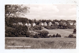 5232 FLAMMERSFELD, Teilansicht 1964 - Altenkirchen