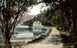 PATH BY LOCH KATRINE - Dunbartonshire