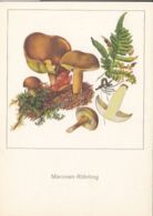 77132- MUSHROOMS, PLANTS - Mushrooms