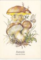 77133- MUSHROOMS, PLANTS - Mushrooms