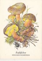 77135- MUSHROOMS, PLANTS - Pilze