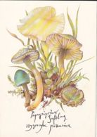 77136- MUSHROOMS, PLANTS - Paddestoelen