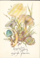 77138- MUSHROOMS, PLANTS - Mushrooms