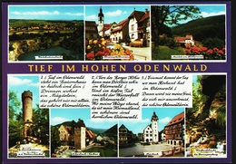 Tief Im Hohen Odenwald  -  Mehrbild-Ansichtskarte Ca.1980    (10077) - Odenwald