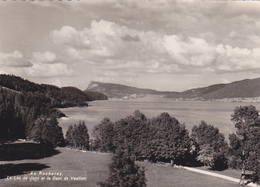 SUISSE,HELVETIA,SWISS,switzerland,schweiz,SVIZZERA ,VAUD,LAC,LAC DE JOUX,ROCHERAY,CARTE PHOTO DERIAZ - Roche