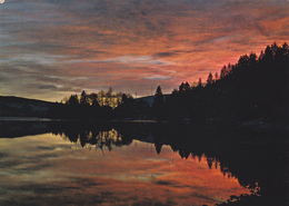 SUISSE,HELVETIA,SWISS,switzerland,schweiz,SVIZZERA ,VAUD,LAC,LAC DE JOUX,ROCHERAY - Roche