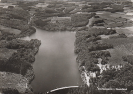 Allemagne - Glörtalsperre Im Sauerland - Glörtalsperre Volmetal - Café Restaurant - 1965 - Luedenscheid