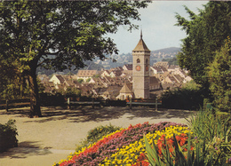 SUISSE,SCHWEIZ,HELVETIA,SWISS,SCHAFFHOUSE,SCHAFFHAUSEN,PRES HEMMENTAL,PARC - Schaffhouse