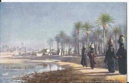 CPA - Raphael Tuck - Série Oilette - Water Carriers Bedrachen Near Cairo - Le Caire - Porteur D'eau - Egypte - N° 7202 - Tuck, Raphael