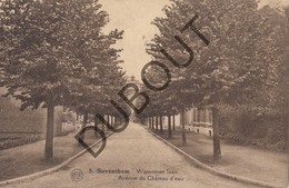 Postkaart/Carte Postale ZAVENTEM Watertoren Laan - Avenue Du Château D'eau (O398) - Zaventem