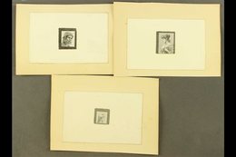 FEMALE PORTRAITS - DE LA RUE IMPERF DIE PROOFS A Lovely All Different 1890's Group Of Individual Stamp Sized Die Proofs  - Non Classés