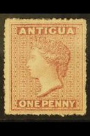 1863-67 1d Rosy Mauve, Watermark Small Star, Rough Perf 14-16, SG 5, Very Fine Mint With Original Gum. For More Images,  - Sonstige & Ohne Zuordnung