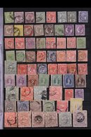 QUEENSLAND 1860-1911 MINT & USED UNSORTED ASSEMBLY (mostly Used) Haphazardly Presented On Stock Book Pages. An Interesti - Autres & Non Classés