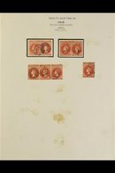 SOUTH AUSTRALIA 1855 TO 1900 VERY FINE EARLY COLLECTION. An Intriguing Collection Of Used Stamps In Better Than Normal C - Otros & Sin Clasificación