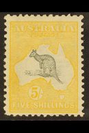1913 5s Grey And Yellow, Wmk Wide Crown, Kangaroo, SG 13, Very Fine Mint. For More Images, Please Visit Http://www.sanda - Otros & Sin Clasificación