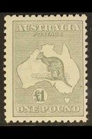 1923 £1 Grey, Wmk Narrow Crown, Kangaroo, SG 75, Very Fine Mint. For More Images, Please Visit Http://www.sandafayre.com - Other & Unclassified