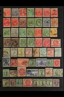 PERFINS 1910's-1970's Interesting Collection Of Used Stamps With Various Private COMMERCIAL PERFINS Presented On Stock P - Other & Unclassified
