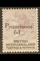 1888 6d On 6d Pale Reddish Lilac & Black - "Protectorate" Opt'd, SG 45, Fine Mint With Large Part OG For More Images, Pl - Other & Unclassified