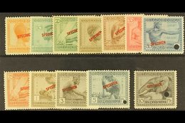 BELGIAN CONGO 1923-24 Pictorial Set, COB 106/117, Overprinted SPECIMEN, And With Security Punch Hole, Fine Never Hinged  - Sonstige & Ohne Zuordnung