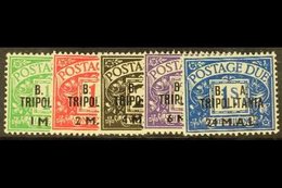 TRIPOLITANIA POSTAGE DUES 1950 B.A. Surch Set Complete, SG TD6/10, Very Fine Mint. (5 Stamps) For More Images, Please Vi - Italian Eastern Africa