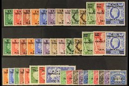 TRIPOLITANIA 1948-51 COMPLETE MINT COLLECTION On A Stock Card, SG T1/T34 Plus Postage Due Sets, SG TD1/TD10, Very Fine M - Africa Oriental Italiana