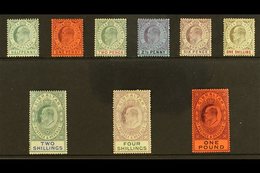 1904-08 KEVII Definitive Set, SG 56/64, Some Tiny Imperfections, Generally Fine Mint, The £1 Value Is Superb With Virtua - Gibraltar