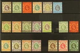 1903-11 KEVII MINT SELECTION Presented On A Stock Card. Includes 1903 CA Watermark Set To $1, 1904-06 MCA Watermark Rang - Other & Unclassified