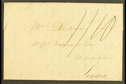 1801 ST MARY'S ENTIRE LETTER TO LONDON RE. A SHIPMENT OF HERRINGS, HADDOCK, ESTATE AND SHIP NEWS (Aug) Lengthy Letter, S - Jamaica (...-1961)