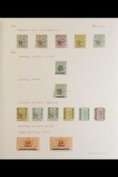 1900 -  1907 SUPERB MINT ONLY COLLECTION Lovely Fresh Collection Of Mostly Complete Sets Including 1900 Vals To 2r 50 In - Mauricio (...-1967)