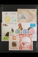 1975-1995 MINIATURE SHEETS Never Hinged Mint All Different Collection. An Apparently Complete Basic Run From 1975 Health - Andere & Zonder Classificatie