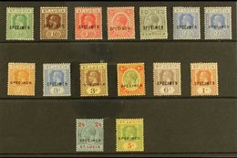 1921 - 30 Geo V Set Complete, Wmk Script, Ovptd "Specimen", SG 91s/105s, Very Fine Mint, Large Part Og. (15 Stamps) For  - St.Lucia (...-1978)