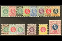 NATAL 1902 - 03 Ed VII Set Complete To 5s, SG 127/140, Fine Mint. (14 Stamps) For More Images, Please Visit Http://www.s - Unclassified
