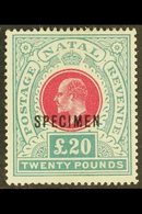 NATAL 1902 £20 Red And Green, Ed VII, Ovptd "Specimen", SG 145bs, Very Fine Mint, Large Part Og. For More Images, Please - Sin Clasificación