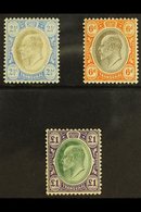 TRANSVAAL 1904 - 09 2½d, 6d And £1 On Chalk Paper, SG 253b, 266a, 272a, All Very Fine And Fresh Mint. (3 Stamps) For Mor - Sin Clasificación