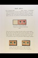 1926-51 SIXPENCE ORANGE TREE ISSUES STUDY COLLECTION - Very Well Written Up On Pages, With 1926-7 Imperforate COLOUR TRI - Sin Clasificación