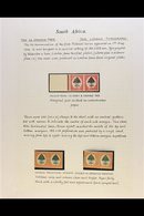 1926-51 SIXPENCE ORANGE TREE ISSUES STUDY COLLECTION - Very Well Written Up On Pages, With 1926-7 Imperforate COLOUR TRI - Non Classés