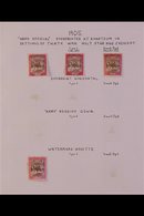 ARMY SERVICE STAMPS 1905 TO 1924 MINT COLLECTION. A Fresh And Attractive Collection On Three Album Pages Begins With The - Sudan (...-1951)