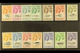 1960 Marine Life Definitive Set, SG 28/41, Never Hinged Mint (14 Stamps) For More Images, Please Visit Http://www.sandaf - Tristan Da Cunha