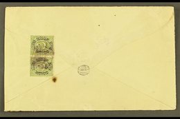 USED IN IRAQ Circa 1880 Cover Addressed In Arabic To Persia, Bearing On Reverse 1876 ½p On 20pa Pair Cancelled By "NEDJE - Autres & Non Classés