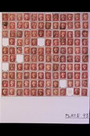 1858-79 PENNY RED PLATE RECONSTRUCTIONS. A Virtually Complete Reconstruction Of PLATES 90 TO 93, We See 910+ Stamps Of T - Other & Unclassified