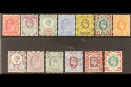 1902 Ed VII Complete Basic Set To 1s, DLR Printings, SG 219 - 257a, Very Fine And Fresh Mint. (13 Stamps) For More Image - Sin Clasificación