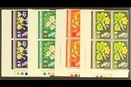 1964 BOTANICAL CONGRESS BLOCKS. Botanical Congress Normal & Phosphor Complete Sets, SG 655/58 & SG 655p/58p, Never Hinge - Other & Unclassified