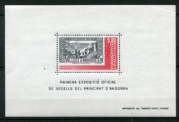 11804  ANDORRE BF 1** 5F  1er Expo Officielle Des Timbres-poste Andorrans  1982  TTB - Blocs-feuillets