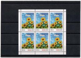 Kyrgyzstan.2012 Flora. Sunflower. Sheetlet Of 6 Stamps - Kirghizistan