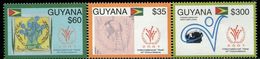 AS5684 Guyana 2001 International Volunteer Year Flag, Etc. 3V MNH - Francobolli